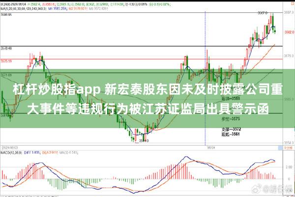 杠杆炒股指app 新宏泰股东因未及时披露公司重大事件等违规行为被江苏证监局出具警示函