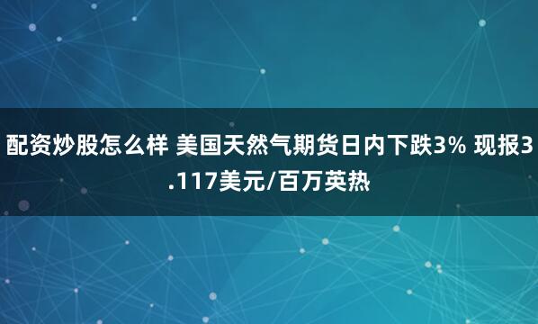 配资炒股怎么样 美国天然气期货日内下跌3% 现报3.117美元/百万英热