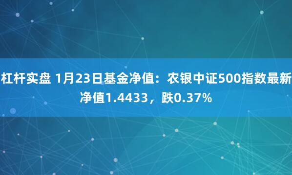 杠杆实盘 1月23日基金净值：农银中证500指数最新净值1.4433，跌0.37%