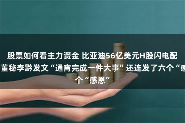 股票如何看主力资金 比亚迪56亿美元H股闪电配售！董秘李黔发文“通宵完成一件大事”还连发了六个“感恩”